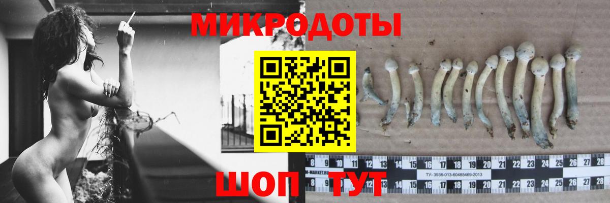 Бахчисарай  Галлюциногенные грибы прущие грибы  Вход с VPN 