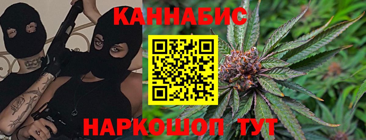 Бахчисарай  Бошки марихуана Bruce Banner  Шишки марихуана ГИДРОПОН  Вход с VPN  Канабис план 